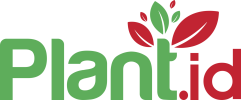 Plant ID Logo