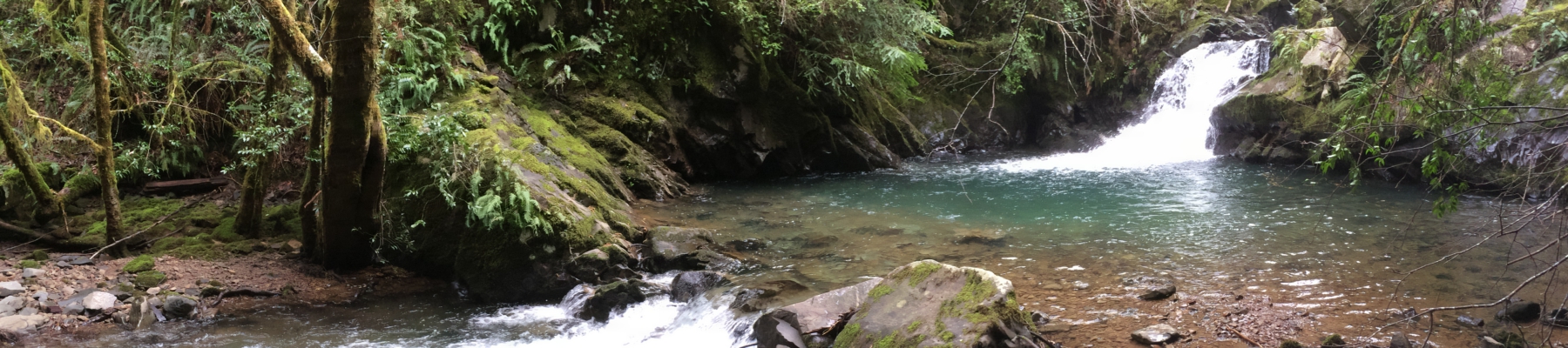 Beautiful waterfall banner